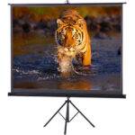 Projector Screen 120 Inch Tripod Portable 6x8 Feet 4:3MW Speed-X
